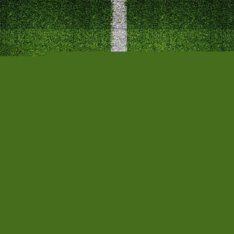 的应对策略 的应对策略