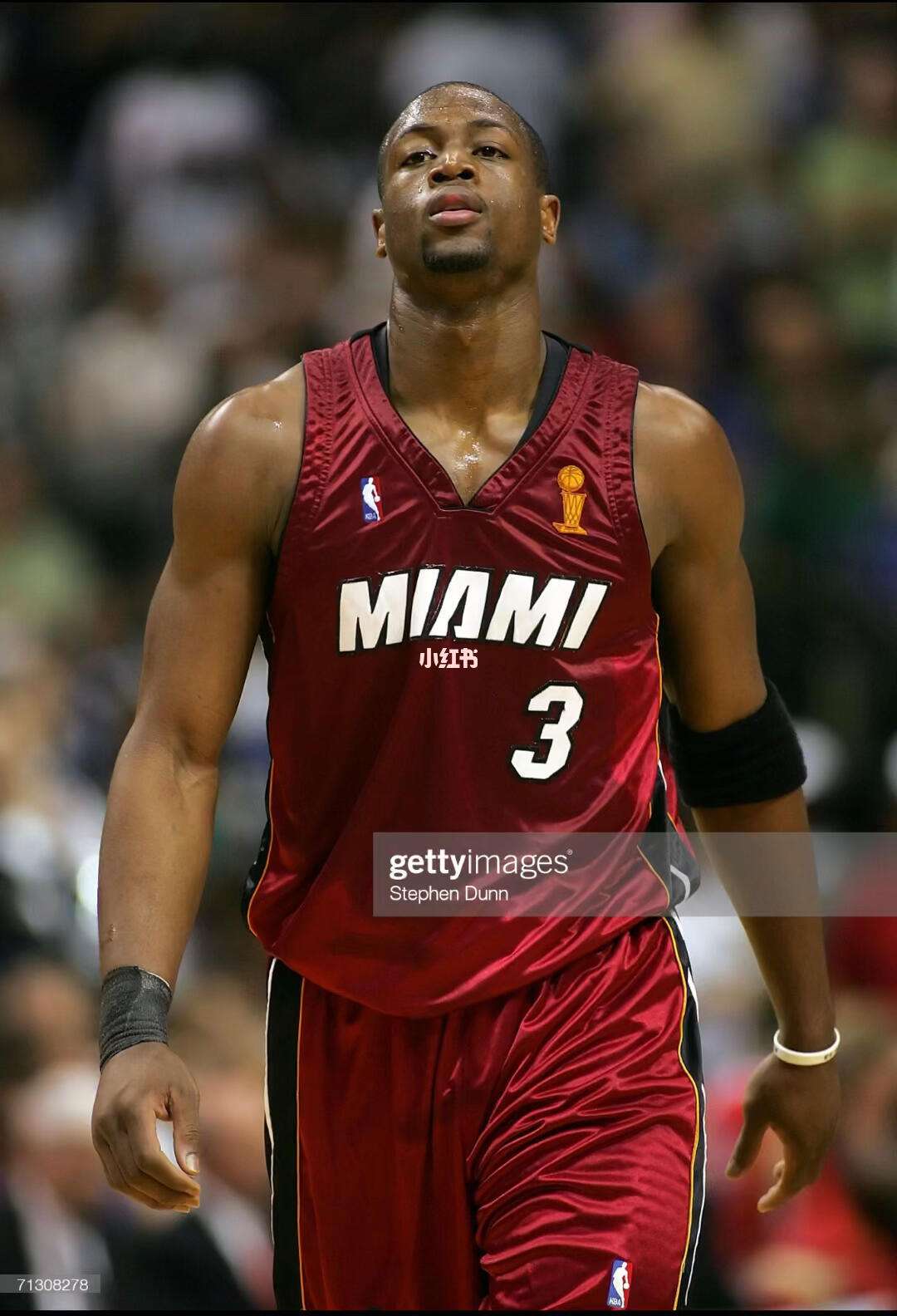 所合作学校 所合作学校