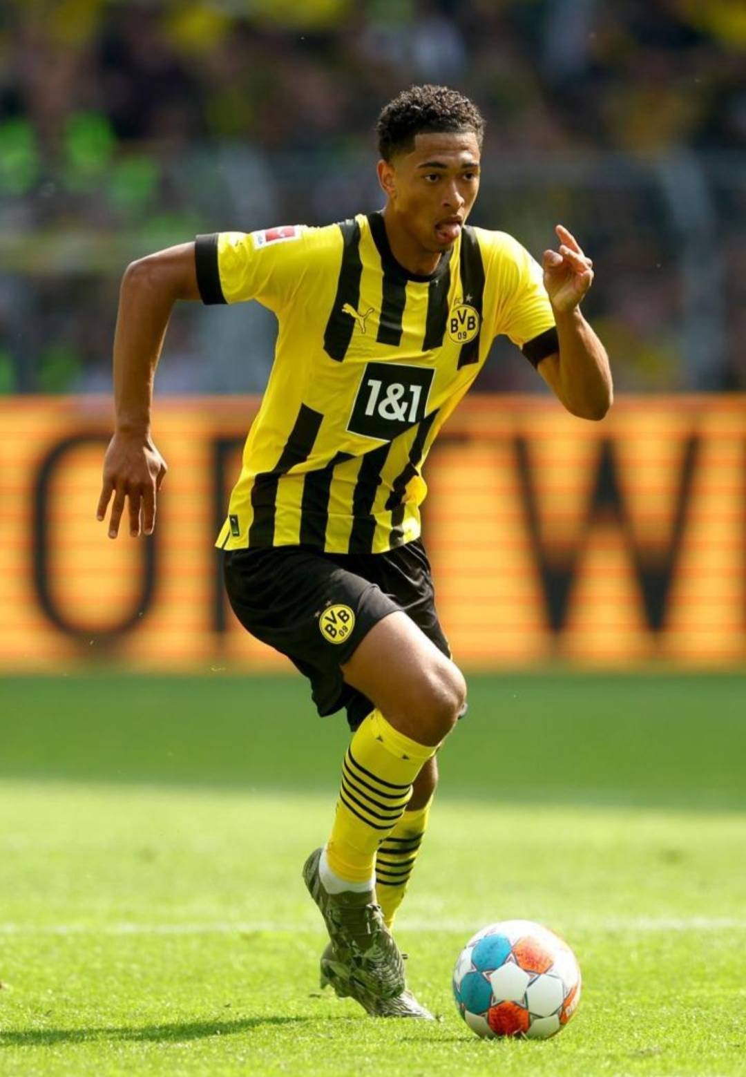 果岭间设置 果岭间设置